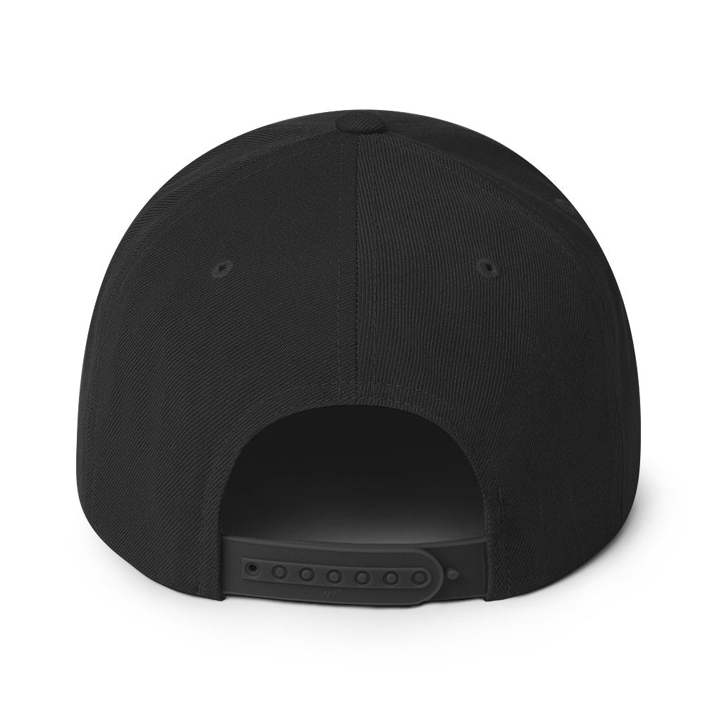 Snapback Top of the World Hat